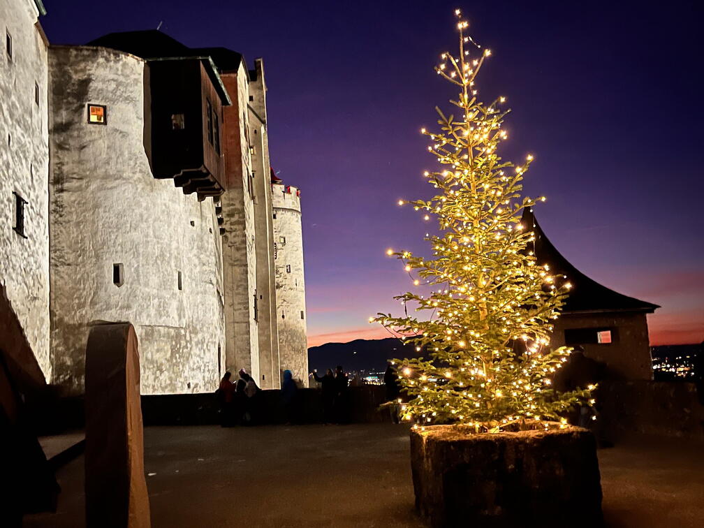 23-12-17 17-20-04 8151